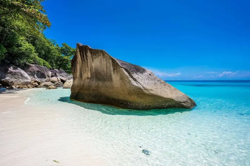 Similan adarı Katamaranda. Nisbətən gec çıxış, şəkil 4