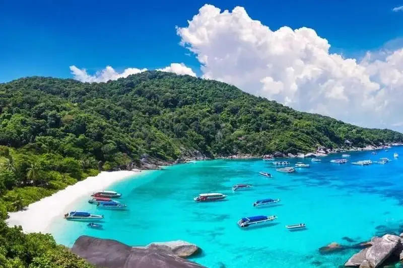 Similan adarı Katamaranda. Nisbətən gec çıxış, şəkil 7
