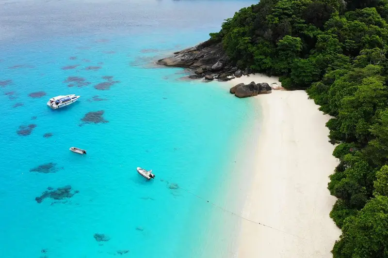 Similan adarı Katamaranda. Nisbətən gec çıxış, şəkil 6