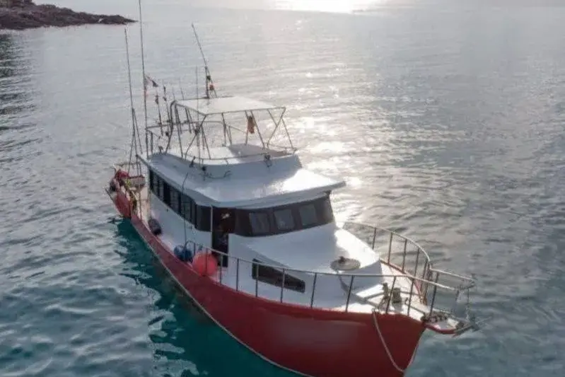 🎣 SUNRISE SEA FISHING (COMFORT+), photo 1